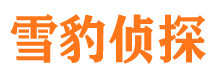 山丹市调查取证